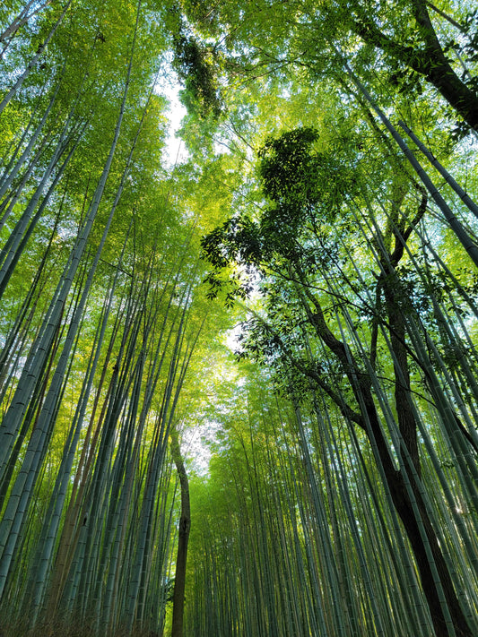 The Environmental Benefits of Workwear Rental vs. Ownership