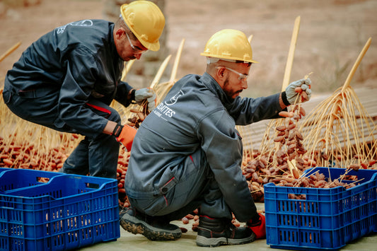 How Workwear Rental Can Save Your Business Money